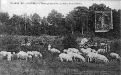 Cp 07874 Villers en Argonne 1912