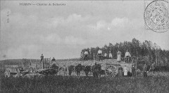 Cp 07878 Muizon 1905 -
													51 Marne
												