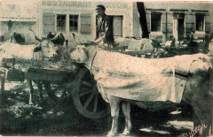 Au Pays Basque - Paysan avec boeufs -
													33 Gironde
												