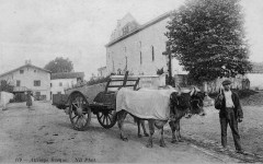 Mouguerre - attelage