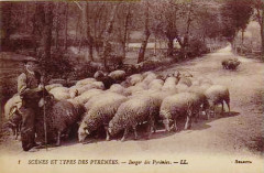 Rhune Agropastoralisme Montée vers l'alpage
