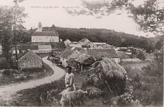 Boissy-aux-Cailles 20