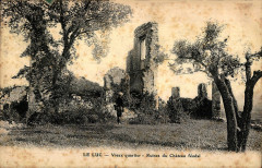 Le Luc Ruines du château féodal