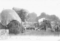 Travaux des champs à Guyancourt