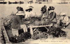La Teste-de-Buch - Parc aux huitres 7