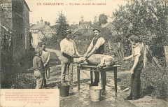Tuade du cochon en-Normandie -
													France
												
