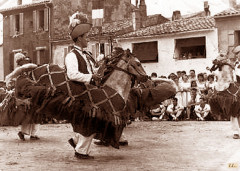 Li chivau-frus Provence
