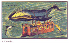 France in Xxi Century. Whale bus -
													France
												