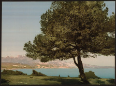 General view, Cap Martin, Mentone, Riviera-LCCN2001699307