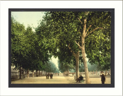 The Promenade Montpelier France
