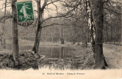 Forêt et étang de Trivaux, Meudon