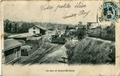 La Gare de Sceaux - Robinson