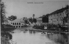 Saudorn 60564