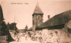 Violot Carte postale 10