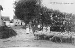 Les petite loges2 80759