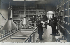 Paris - La Sorbonne, bibliothèque de l'Université, la réserve CIPB0063