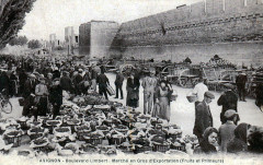 Avignon marché de gros boulevard Limbert