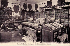 Bordeaux - Ecole Saint-Genès 2 à Bordeaux