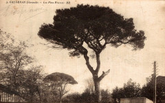 Caudéran - Les Pins-francs à Bordeaux