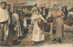 Marseille Poissonières au vieux port à Marseille