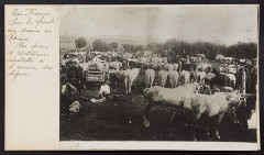 Fonds Lafond 1 1A1182101I032 