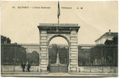 Alfort CP151