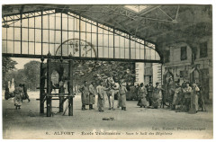 Alfort CP60
