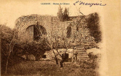 Cadenet entrée du château en ruines -
													84 Vaucluse
												
