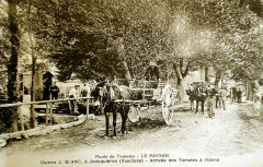 Jonquières arrivée des tomates -
													84 Vaucluse
												