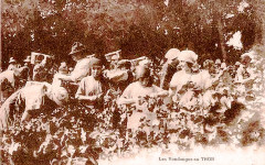 Le Thor Groupe de vendangeuses de chasselas -
													84 Vaucluse
												