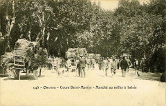 Orange Marché au millet à balais