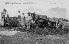 Brûlage du goémon Porspoder 1902