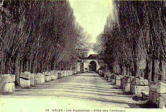 Arles Alyscamps 1910 -
													13 Bouches du Rhône
												