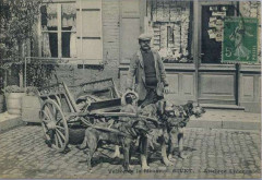 Givet-Fr-08-attelage traditionnel de chiens-02