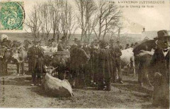 Aveyron Pittoresque 104 - Champ de Foire -
													12 Aveyron
												