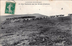 Aveyron Pittoresque 116 - Vacherie sur les Monts d'Aubrac -
													12 Aveyron
												