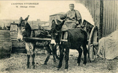 Aveyron Pittoresque 18 - Attelage d'Anes -
													12 Aveyron
												