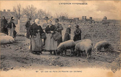 Aveyron Pittoresque 187 - Marché aux cochons -
													12 Aveyron
												