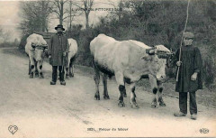 Aveyron Pittoresque 3821 - Retour du Labour -
													12 Aveyron
												