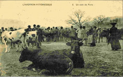 Aveyron Pittoresque 5 - Un coin de Foire -
													12 Aveyron
												