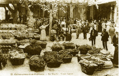 Châteaurenard Marché du Cours Carnot -
													13 Bouches du Rhône
												