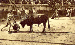 Feria de Nîmes estocade -
													30 Gard
												