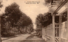 Andernos-les-Bains - avenue de la forêt 1