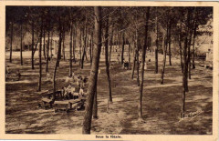 Andernos-les-Bains - Ecole de Plein Air 5 -
													33 Gironde
												