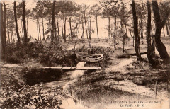 Andernos-les-Bains - Le Betey -
													33 Gironde
												
