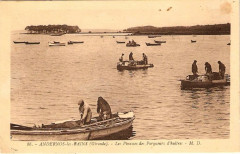 Andernos-les-Bains - Pinasses -
													33 Gironde
												