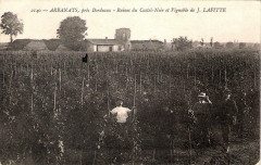 Arbanats - Ruines du Castel-Noir 1 -
													33 Gironde
												
