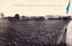 Arbanats - Ruines du Castel-Noir 2