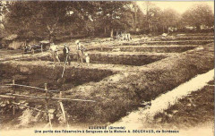 Audenge - résevoir à sangsues 1 -
													33 Gironde
												