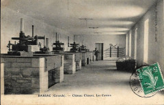 Barsac - château Climens 5 -
													33 Gironde
												